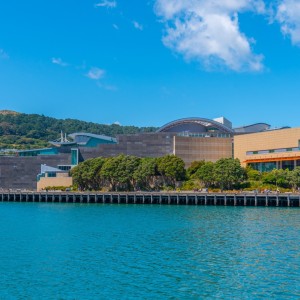 10 Things to Do in Wellington with Kids