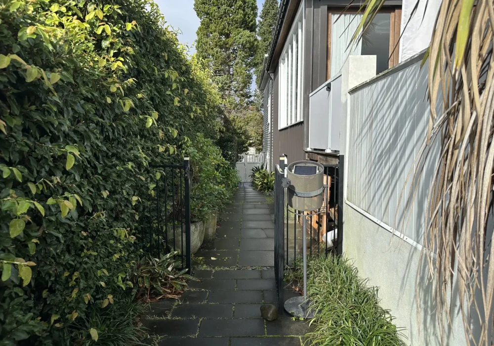 IMG 7860