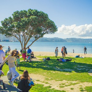 Things to Do in Wellington this Summer