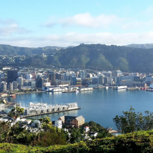 Wellington Economy Post-Lockdown