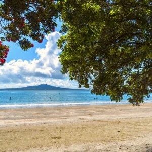 Chill Out at these Top Auckland Beaches 