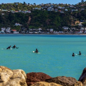 Top 5 Wellington Beaches to Visit