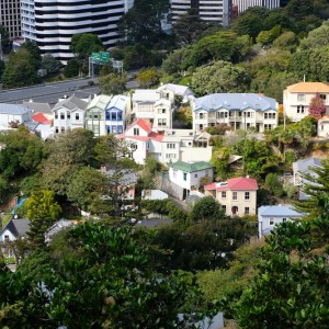 Exploring Wellington’s Top Suburbs for Renting