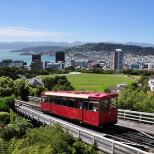 Moving to Wellington Q&A