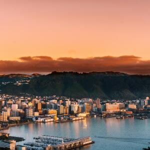 Furnished Accommodation Wellington: The Complete Guide
